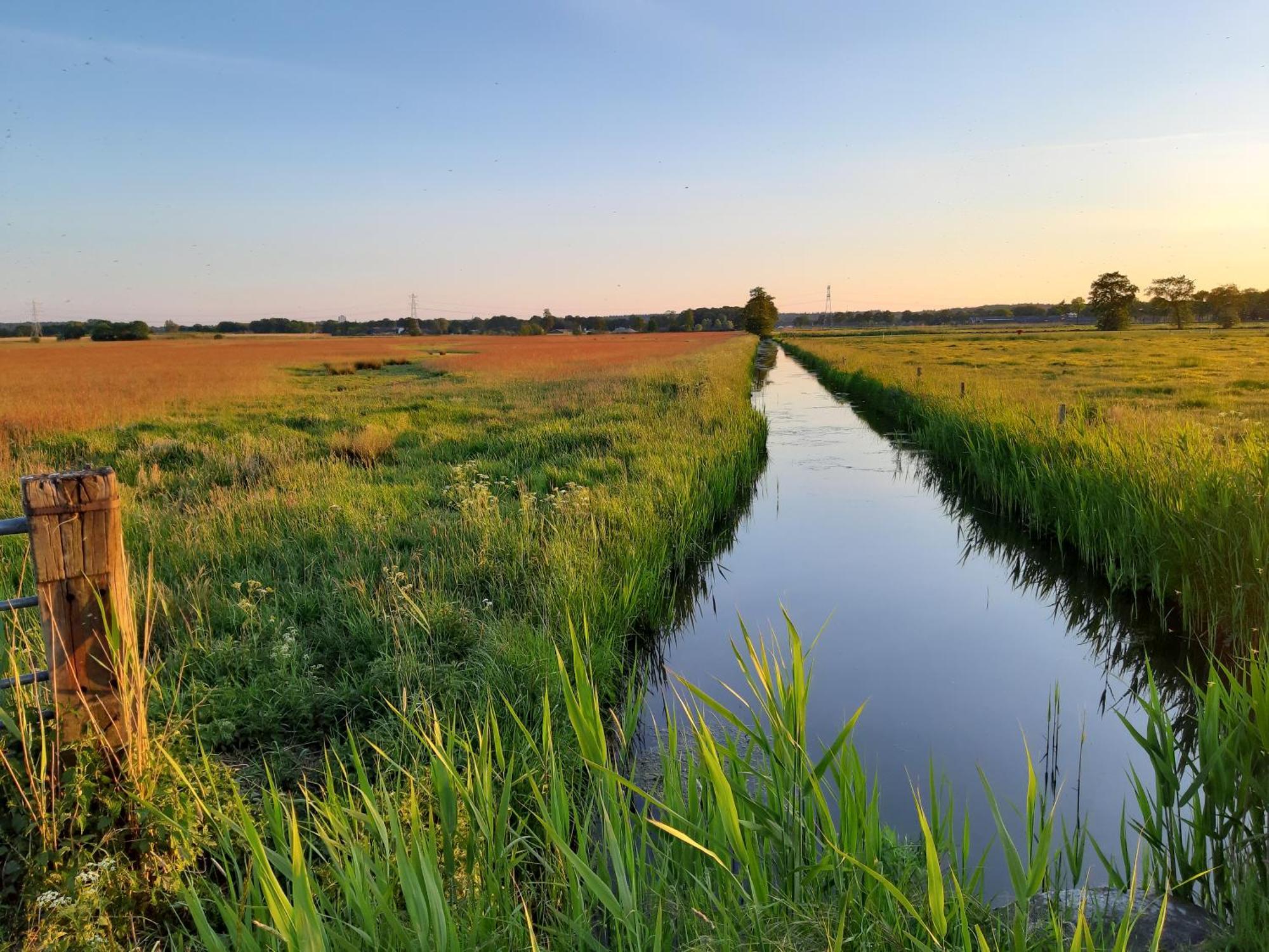 Short Stay Wageningen Dış mekan fotoğraf